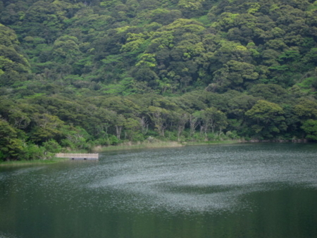f:id:whalebone:20110501064832j:image f:id:whalebone:20110501064832j:image