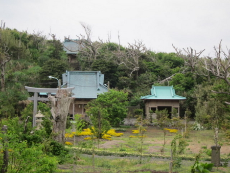 f:id:whalebone:20110501084048j:image f:id:whalebone:20110501084048j:image