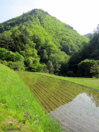 f:id:whalebone:20110604080131j:image