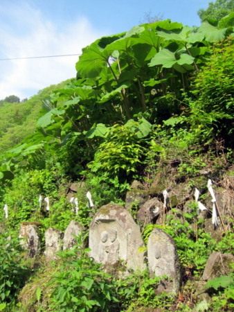 f:id:whalebone:20110604081115j:image