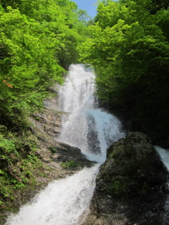 f:id:whalebone:20110604082637j:image
