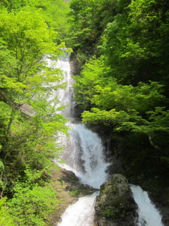 f:id:whalebone:20110604082746j:image
