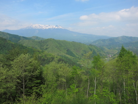 f:id:whalebone:20110604091352j:image