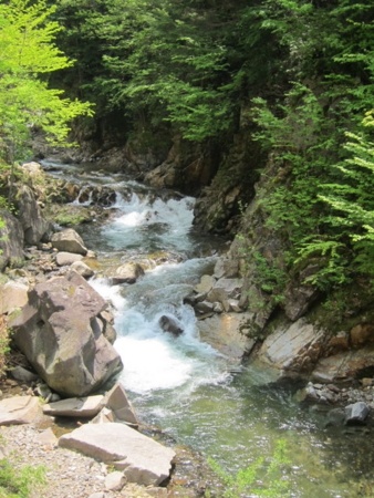 f:id:whalebone:20110604110302j:image