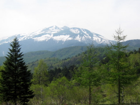 f:id:whalebone:20110604142842j:image
