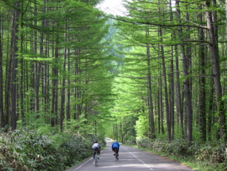 f:id:whalebone:20110604150846j:image
