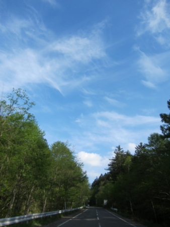f:id:whalebone:20110604160530j:image