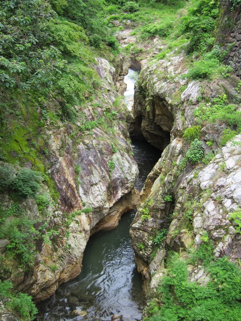 f:id:whalebone:20120610090655j:image:h480