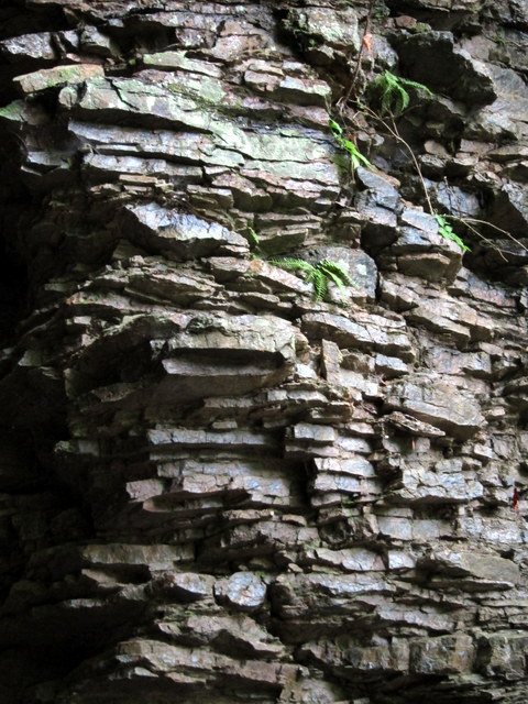f:id:whalebone:20120610105455j:image:h480