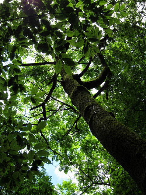 f:id:whalebone:20120610112925j:image:h480