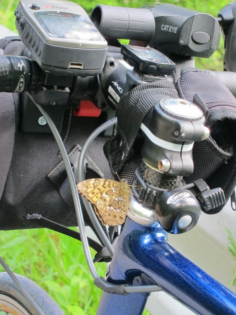 f:id:whalebone:20120610123943j:image:h480