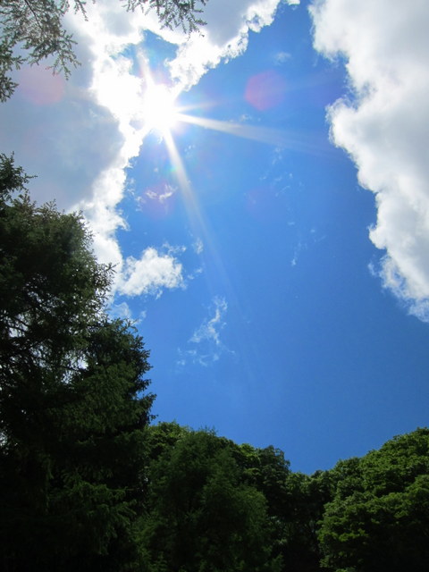f:id:whalebone:20120610124258j:image:h480
