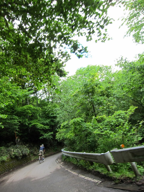 f:id:whalebone:20120610125612j:image:h480