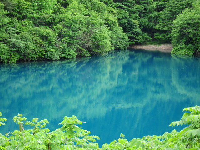 f:id:whalebone:20120610130827j:image:w480