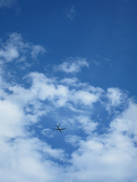 f:id:whalebone:20120816142032j:image:h480 f:id:whalebone:20120816142032j:image:h480