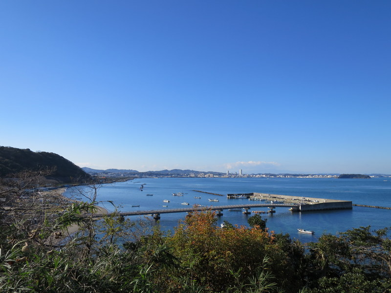 f:id:whalebone:20151226131048j:image:w450