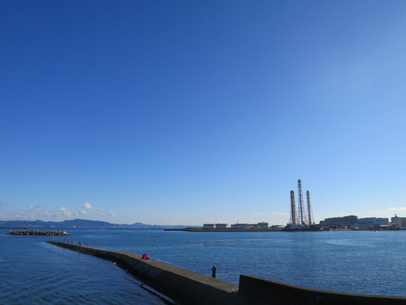 f:id:whalebone:20151226133835j:image:w450