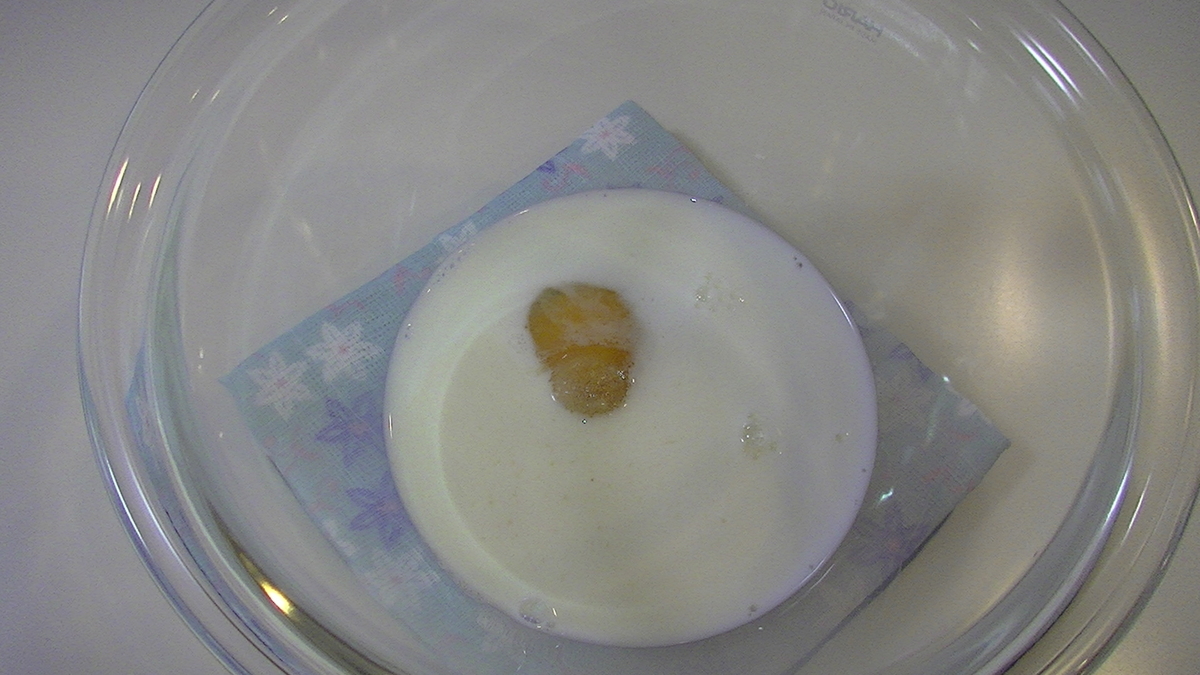 f:id:whalekitchen:20191130104914j:plain