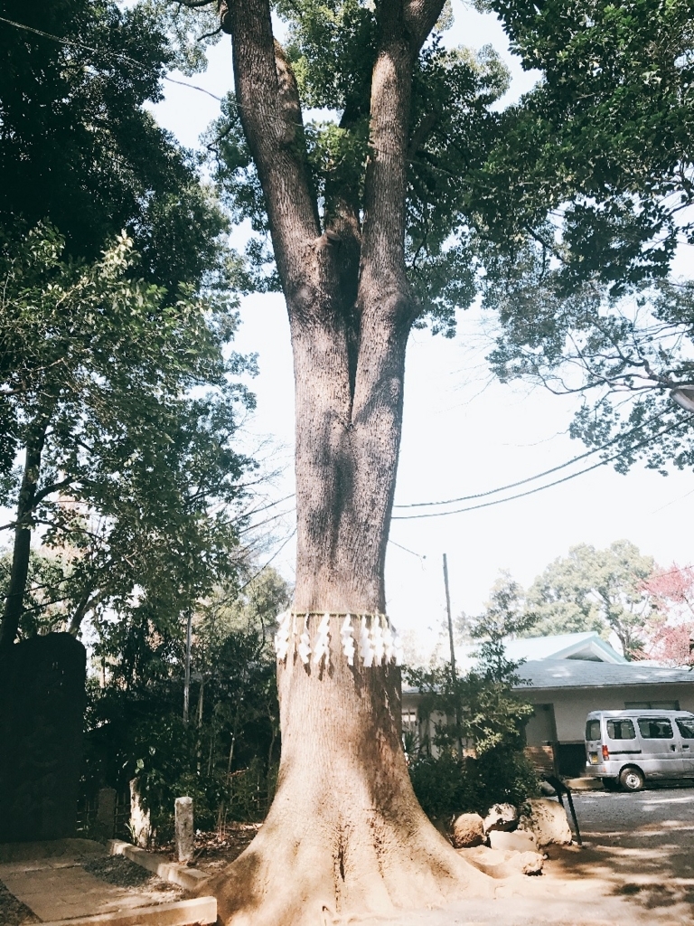 f:id:whatalovelyday:20180314004119j:plain f:id:whatalovelyday:20180314004119j:plain