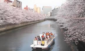 f:id:whatalovelyday:20180320005247j:plain f:id:whatalovelyday:20180320005247j:plain
