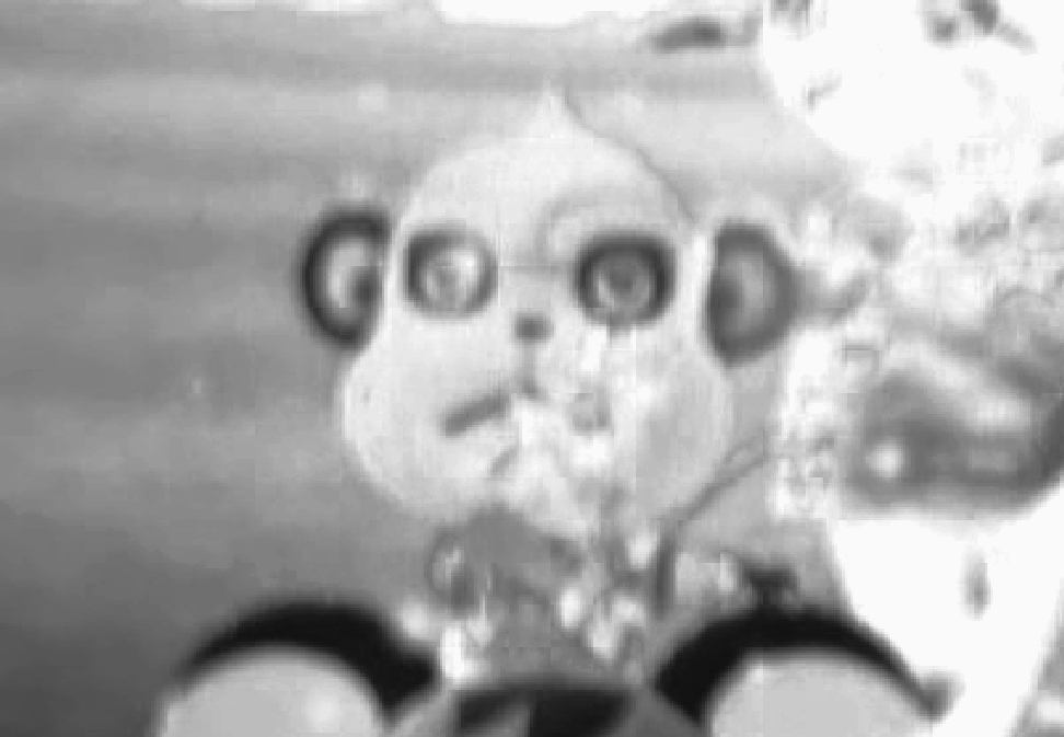 f:id:whats9plus10:20200627221149j:plain