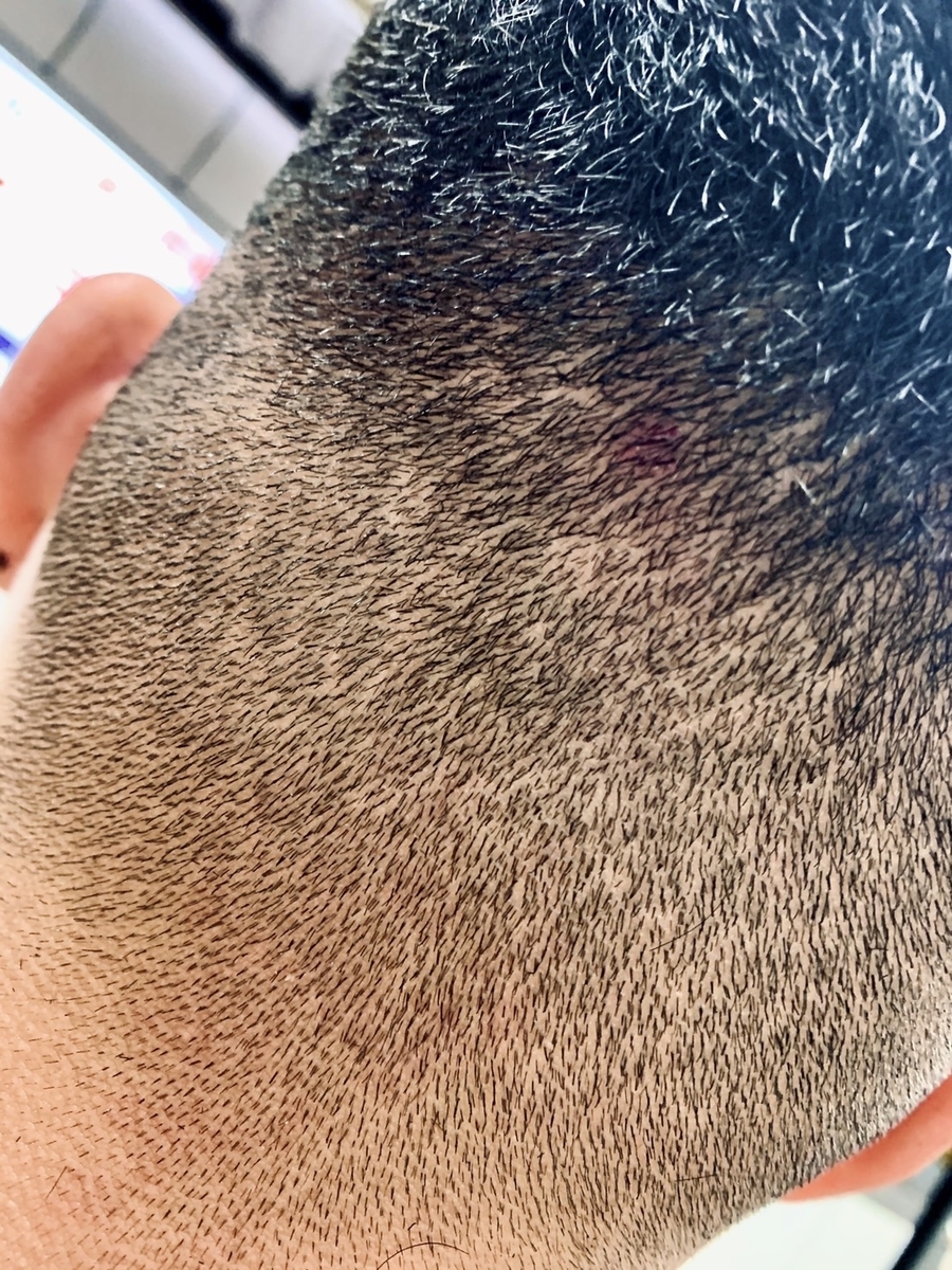 f:id:whats9plus10:20200627221523j:plain