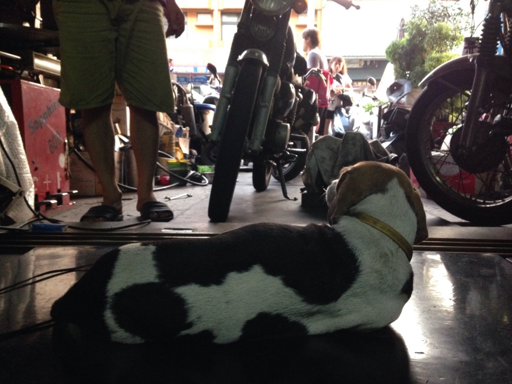 f:id:wheelie_king500:20170805215952j:plain