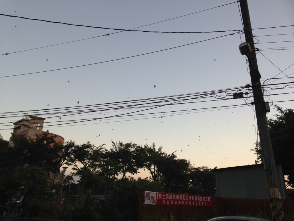 f:id:wheelie_king500:20171220214103j:plain