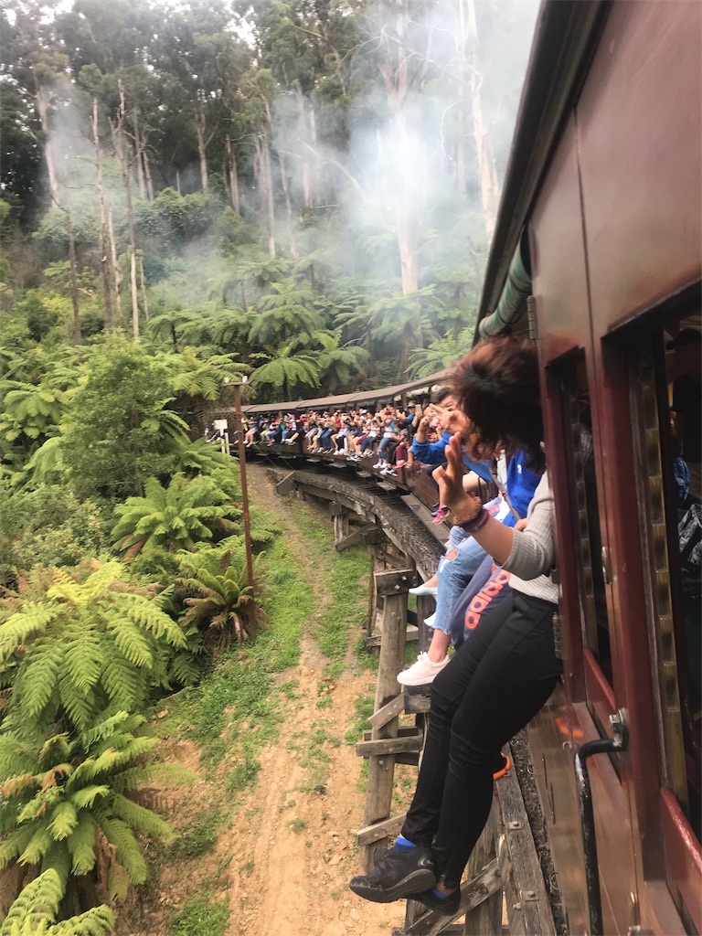 パッ フィン ビリー 鉄道