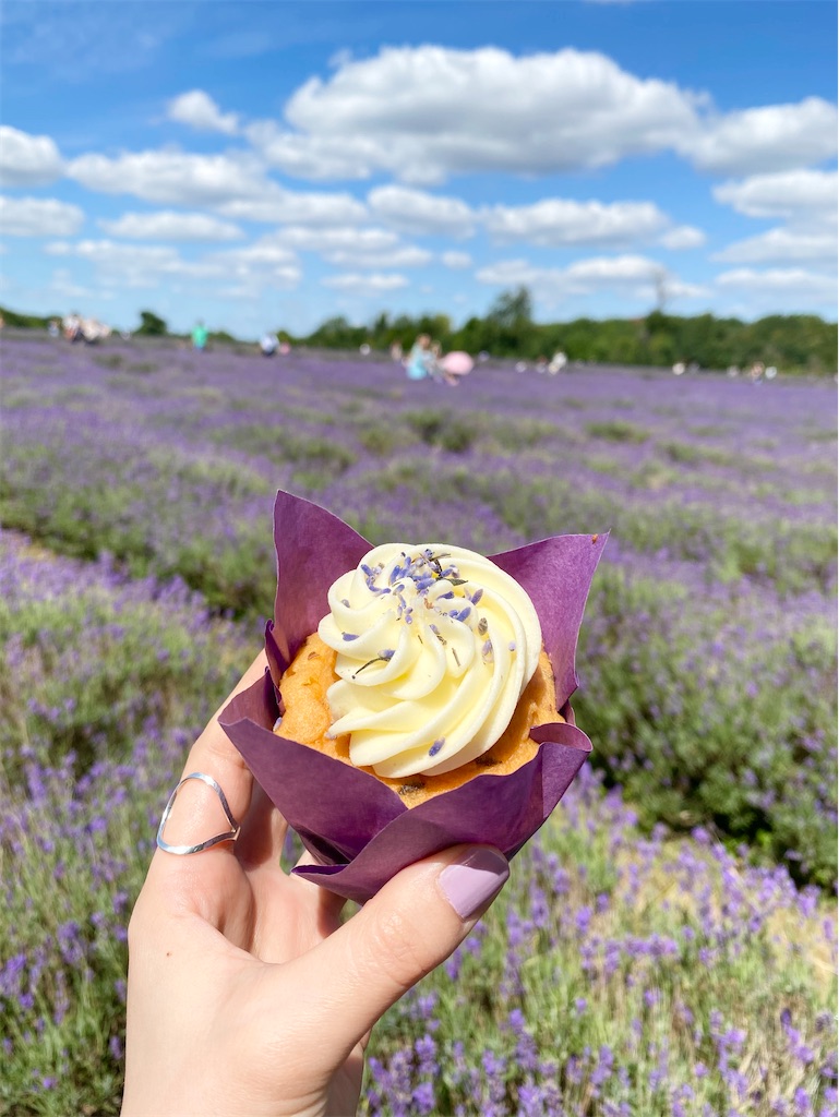 ロンドンから行けるラベンダー畑Mayfield Lavender Farmに行ってきた
