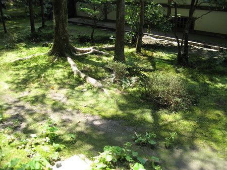 f:id:whirligig:20080405120716j:image f:id:whirligig:20080405120716j:image