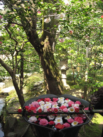 f:id:whirligig:20080405130417j:image f:id:whirligig:20080405130417j:image