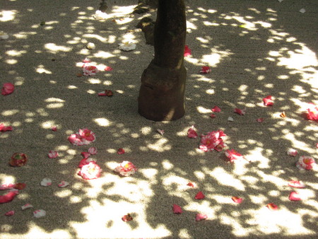 f:id:whirligig:20080405130608j:image f:id:whirligig:20080405130608j:image