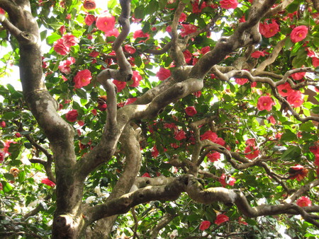 f:id:whirligig:20080405130620j:image f:id:whirligig:20080405130620j:image
