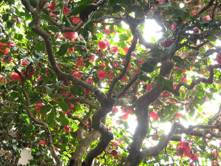 f:id:whirligig:20080405130929j:image f:id:whirligig:20080405130929j:image