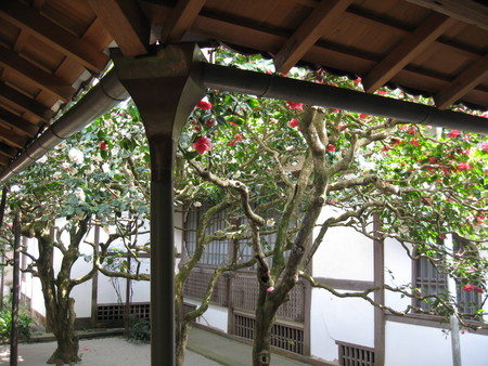 f:id:whirligig:20080405131951j:image f:id:whirligig:20080405131951j:image