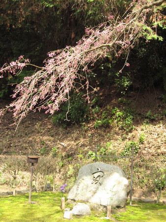 f:id:whirligig:20080405134512j:image f:id:whirligig:20080405134512j:image