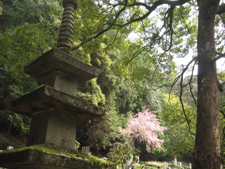 f:id:whirligig:20080405135007j:image f:id:whirligig:20080405135007j:image