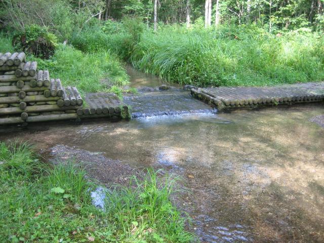 ポロトの森キャンプ場