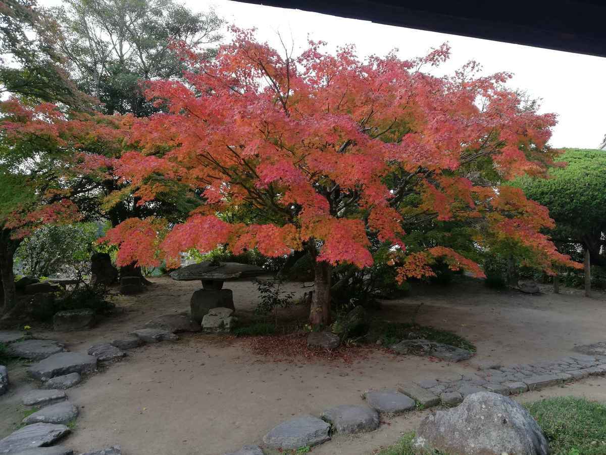 大原邸　庭園