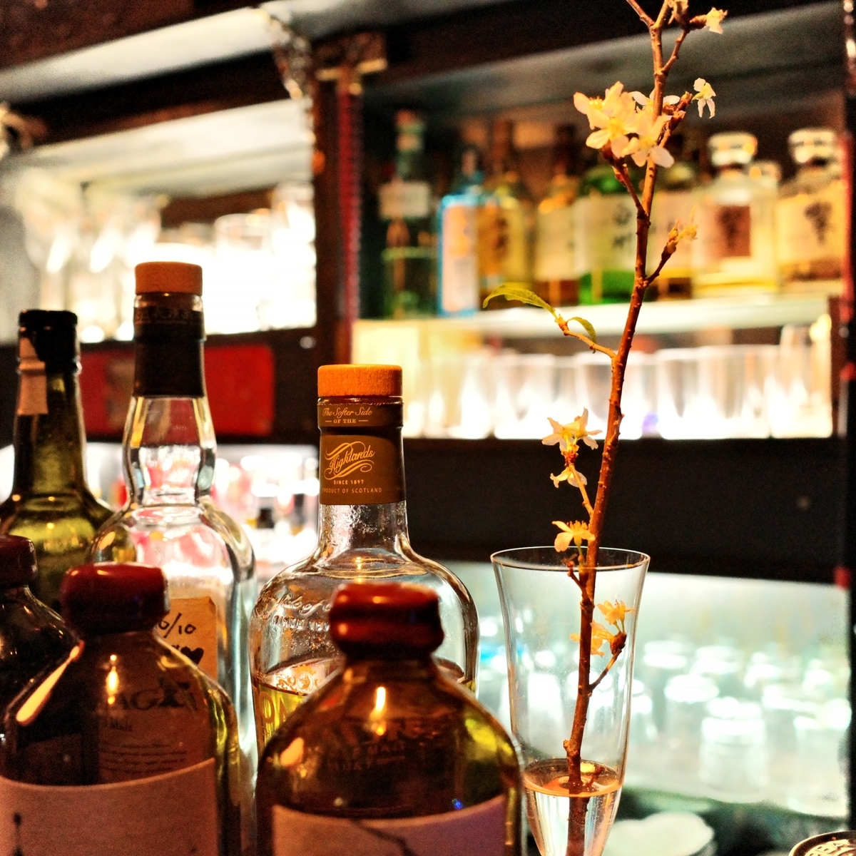 シーバスリーガル12年 vs バランタイン12年｜味・香り・価格の違いを