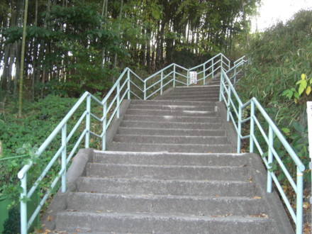 f:id:white-apple:20101121131216j:image