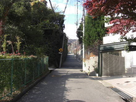 f:id:white-apple:20101121132907j:image