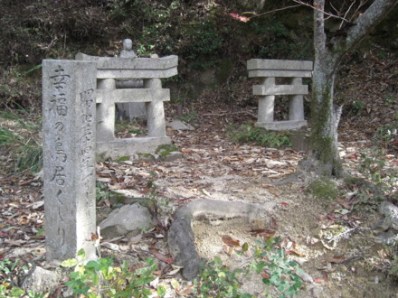 f:id:white-apple:20111121100428j:image:left