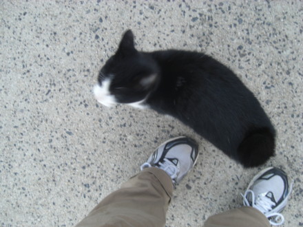 f:id:white-apple:20111121161927j:image