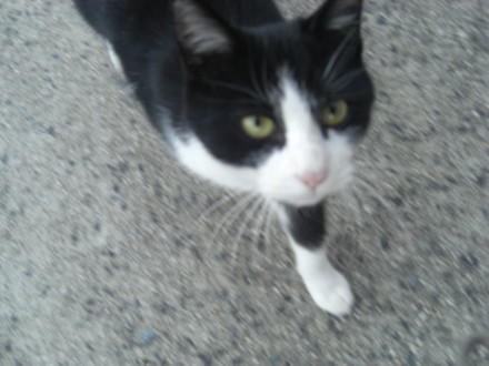 f:id:white-apple:20111121162022j:image:left