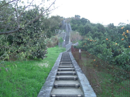 f:id:white-apple:20111121163238j:image