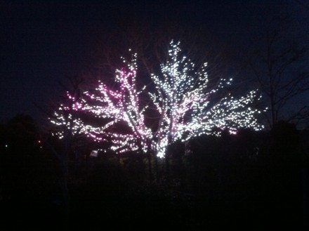 f:id:white-apple:20111223172727j:image:w360
