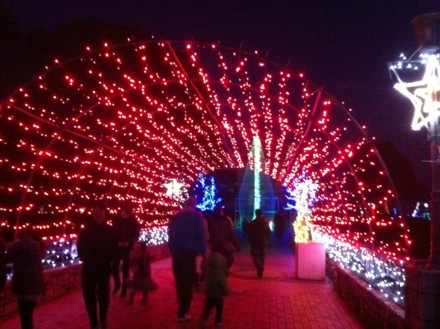 f:id:white-apple:20111223172828j:image:w360