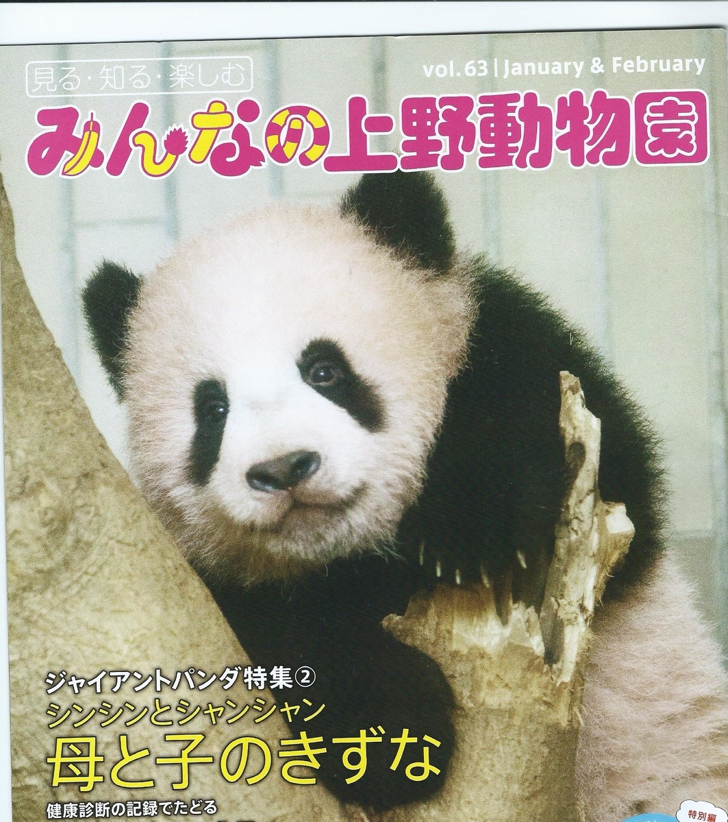f:id:white-ivy:20191008175448j:plain